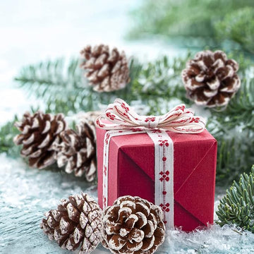 25pcs Christmas Natural Pine Cones Bulk Rustic Snow Pinecones with String