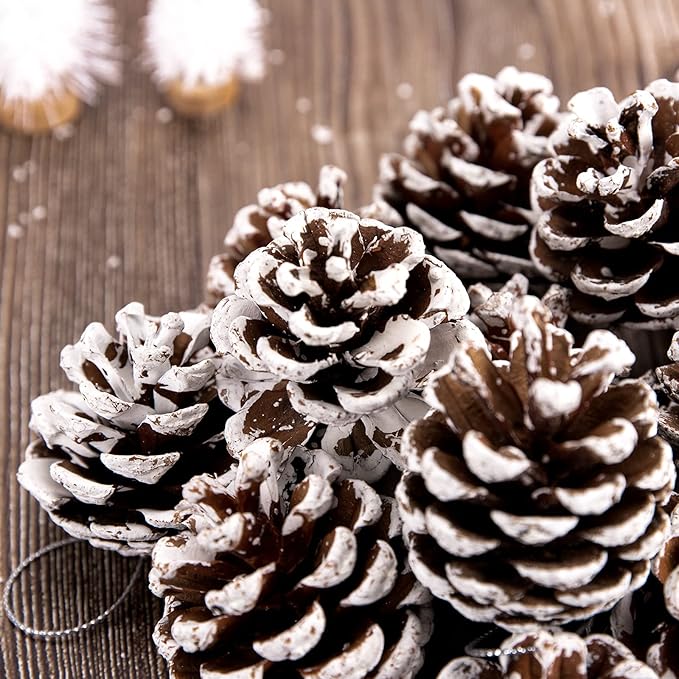 25pcs Christmas Natural Pine Cones Bulk Rustic Snow Pinecones with String
